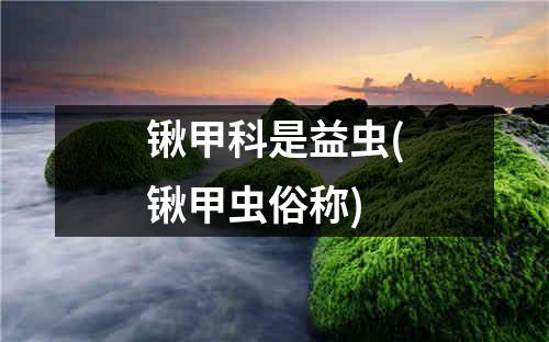 锹甲科是益虫(锹甲虫俗称)