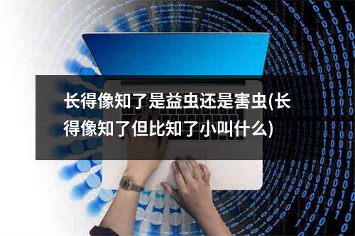 长得像知了是益虫还是害虫(长得像知了但比知了小叫什么)