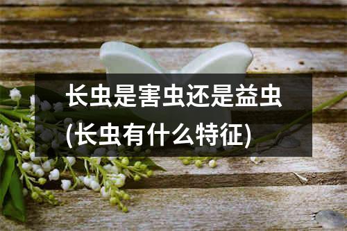 长虫是害虫还是益虫(长虫有什么特征)