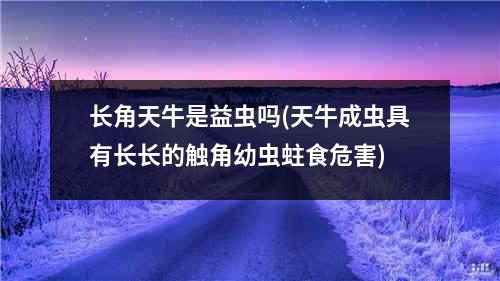 长角天牛是益虫吗(天牛成虫具有长长的触角幼虫蛀食危害)