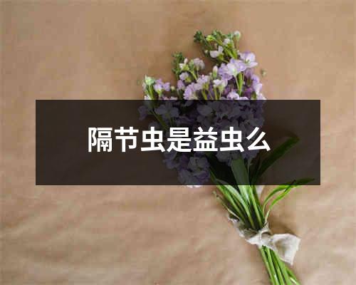 隔节虫是益虫么