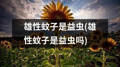 雄性蚊子是益虫(雄性蚊子是益虫吗)