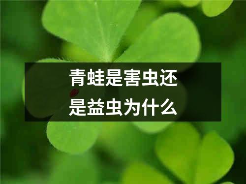 青蛙是害虫还是益虫为什么