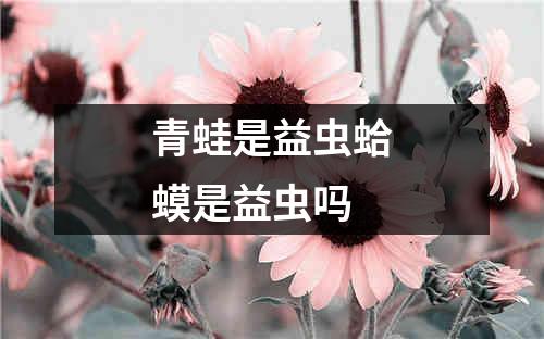 青蛙是益虫蛤蟆是益虫吗