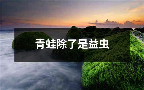 青蛙除了是益虫