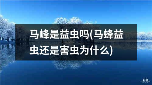 马峰是益虫吗(马蜂益虫还是害虫为什么)