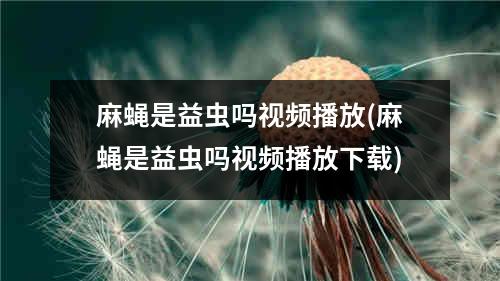 麻蝇是益虫吗视频播放(麻蝇是益虫吗视频播放下载)