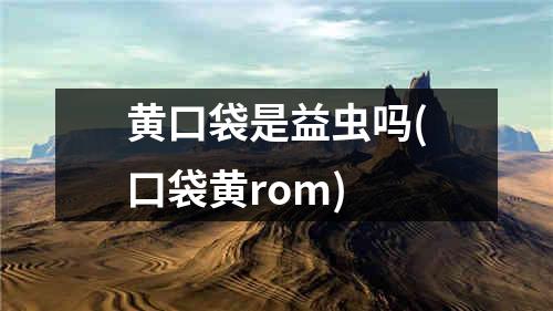 黄口袋是益虫吗(口袋黄rom)