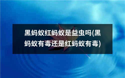 黑蚂蚁红蚂蚁是益虫吗(黑蚂蚁有毒还是红蚂蚁有毒)